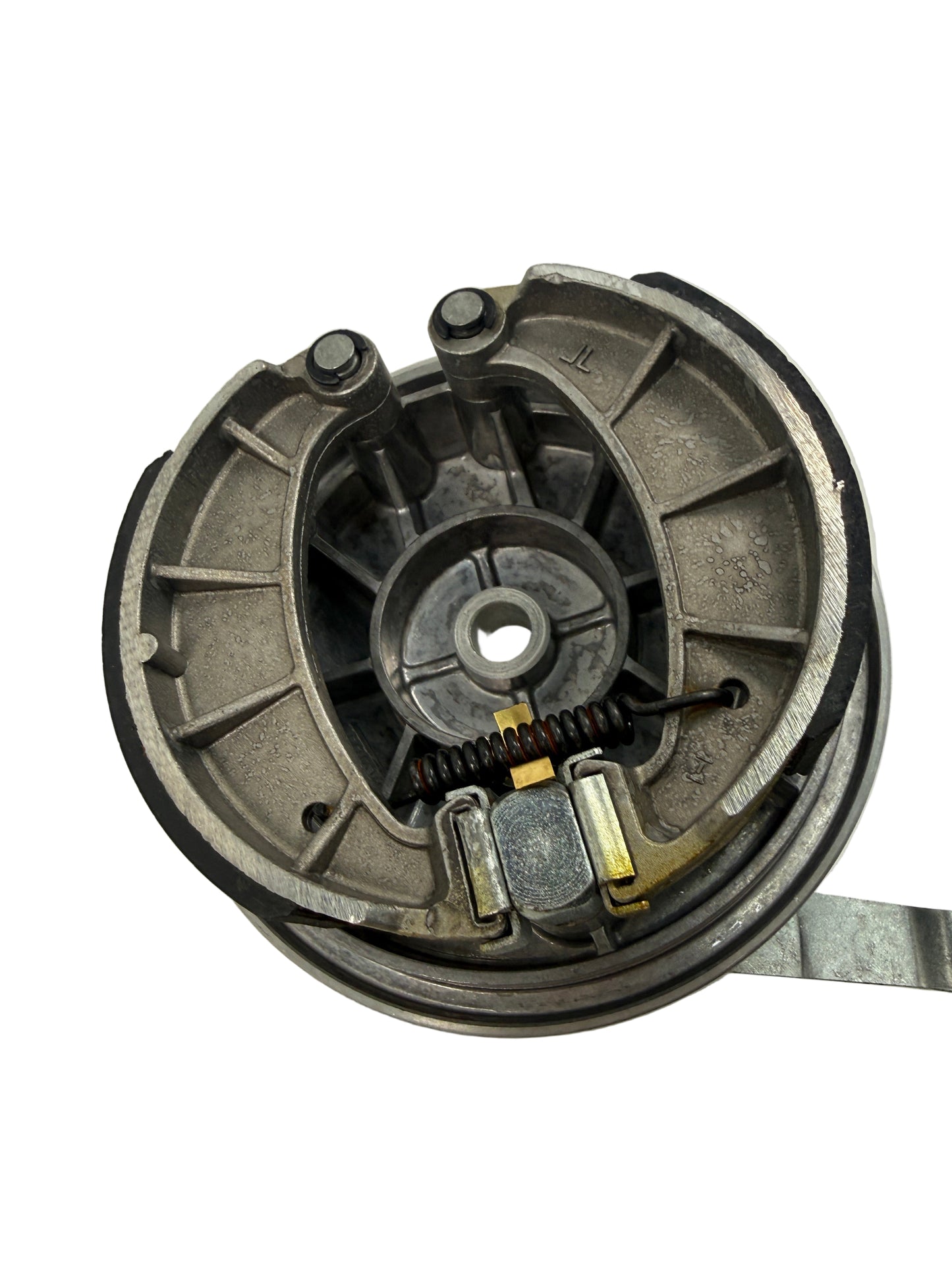 Bremsschild - hintere Bremse