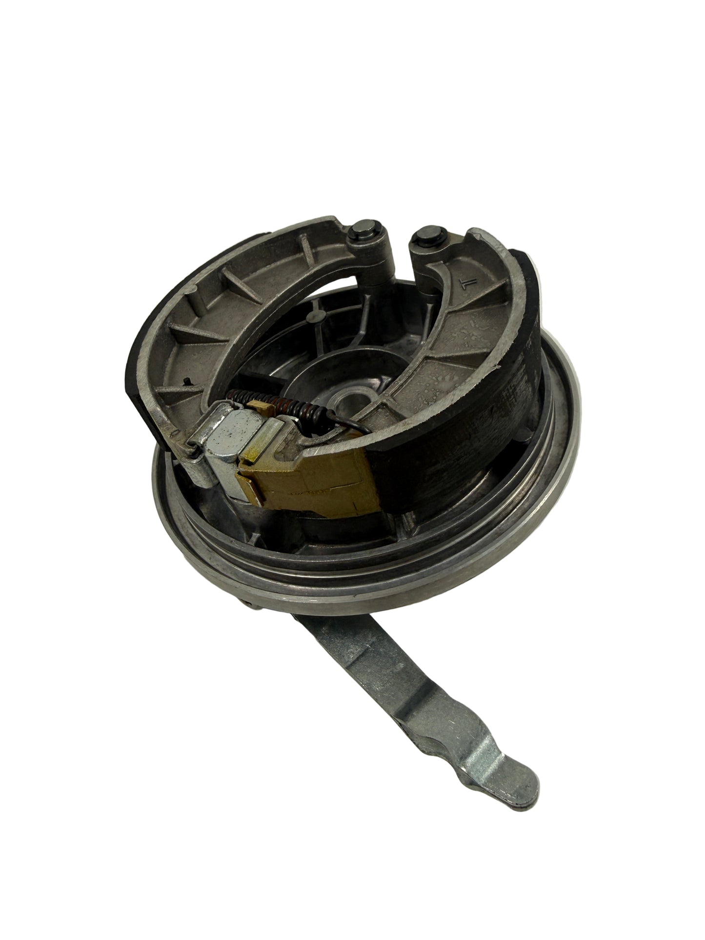 Bremsschild - hintere Bremse